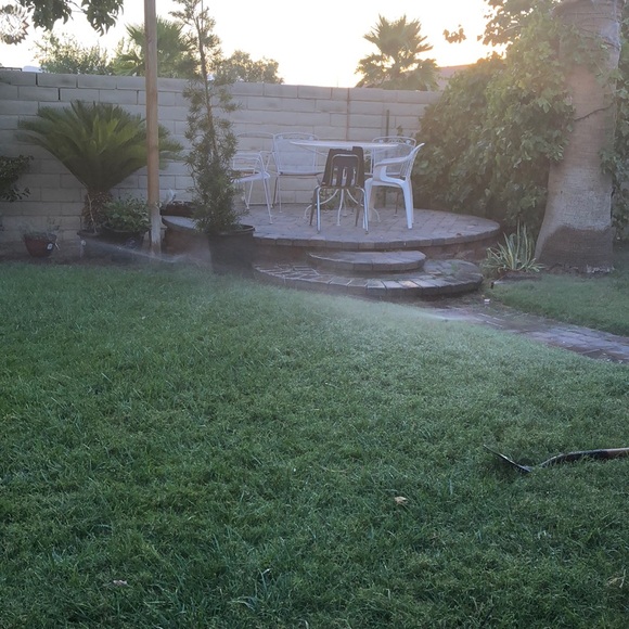 Meet your Posher, Vianey - Picture 1 of 1